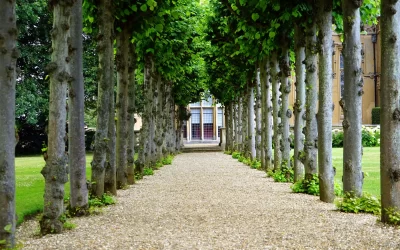 4 Basic Estate Planning Documents