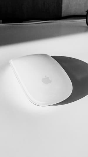 Image of an Apple computer mouse that serves as an example as to what a trademark is in the United States.