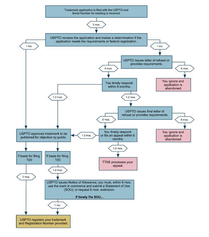 An image of a flowchart that outlines how long the United States Trademark Registration can take.