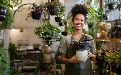 DBA in Florida: Understanding the Basics and Getting Started