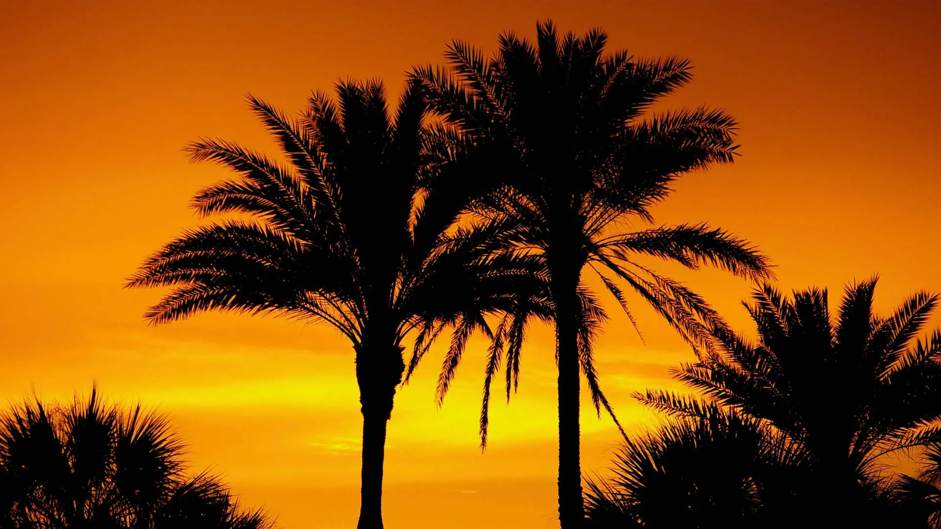 Revocable versus Irrevocable Trusts in Florida